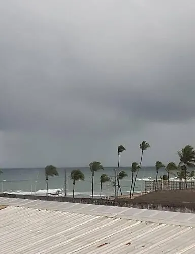 Ondina Frente Ao Sol